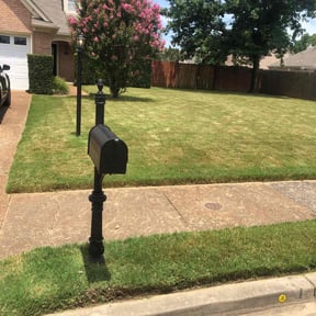 yard maintenance by Marvin Wright reviewed on August 17, 2025
