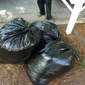 Leaf Removal by Cleaner Cutz reviewed on September 27, 2025