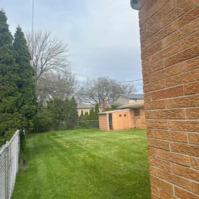 lawn care by Snipes Construction Company LLC reviewed on September 12, 2024