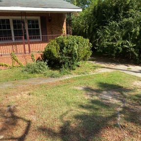 Bush Trimming by Home services reviewed on December 17, 2025