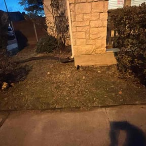 Flower Bed Weeding by Tegridy Mushrooms LLC reviewed on February 19, 2026