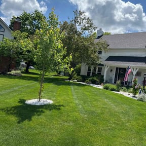yard care by Jerome Lawn Pros reviewed on August 15, 2025