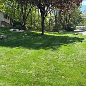yard maintenance by Botello's Lawn Care Service reviewed on August 18, 2025
