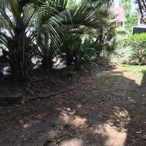 Bush Trimming by Gowdy's Lawn Service reviewed on August 20, 2025