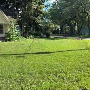 lawn care services by Aiken Landscaping reviewed on August 16, 2025