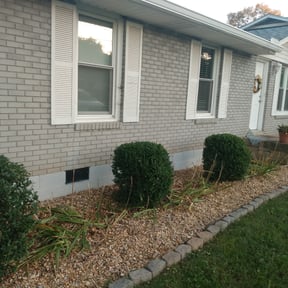 Bush Trimming by RTH Lawn Service & Landscaping LLC reviewed on August 16, 2025