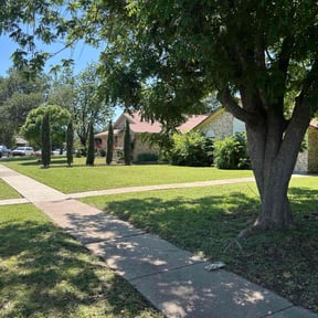 gardening service by Landscape reviewed on November 27, 2025