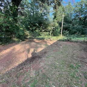 Leaf Removal by Branch ot tree service reviewed on September 15, 2025