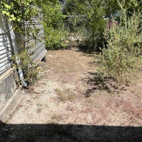 Leaf Removal by Elite lawn service reviewed on September 14, 2025