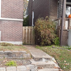 Bush Trimming by J.A.M Landscaping and More. reviewed on August 20, 2025