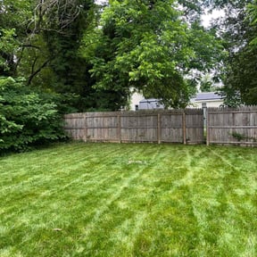 grass cutting by J&amp;M Love Life Hauling and Lawn Services reviewed on August 18, 2025