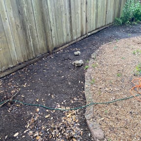 Leaf Removal by Dragonfly Lawn Care reviewed on September 13, 2025