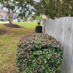 Bush Trimming by ShiftChange LLC Lawn Service reviewed on October 22, 2025
