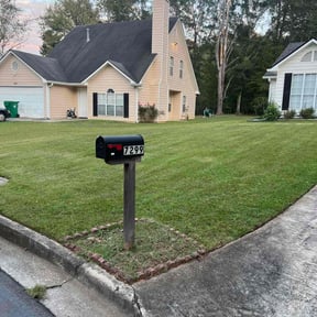 turf maintenance by Heavens Landscape and Design reviewed on June 24, 2025