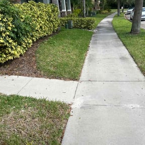 lawn care by nScape’s Lawn Care reviewed on September 7, 2023