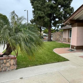 residential landscaping by Lopez Property Services Inc. reviewed on August 15, 2025