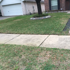 Leaf Removal by Red State Landscape reviewed on September 19, 2025