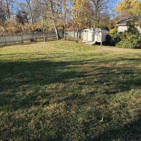 Leaf Removal by EZ Taskin LLC reviewed on October 2, 2025