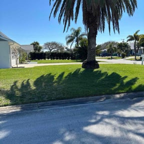 yard maintenance by JBs Land &amp; Tree reviewed on January 22, 2026