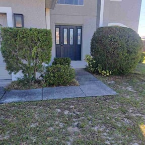 Bush Trimming by Carbon Dioxide Recyclers reviewed on August 16, 2025