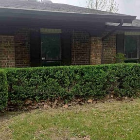 Bush Trimming by WeCare Lawn Service reviewed on August 18, 2025