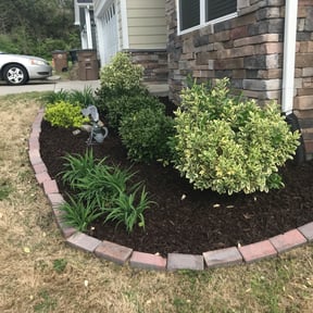 Flower Bed Weeding by House Perfect reviewed on August 15, 2025
