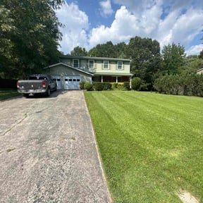 Leaf Removal by Nelson Lopez reviewed on October 26, 2023