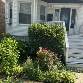 Bush Trimming by Doug's Lawn Care reviewed on December 1, 2025