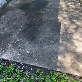 Leaf Removal by Elite reviewed on August 17, 2025
