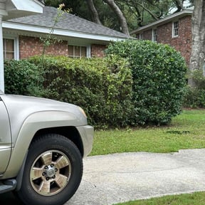 Bush Trimming by Rich Landscaping and Grounds Maintenance reviewed on August 20, 2025