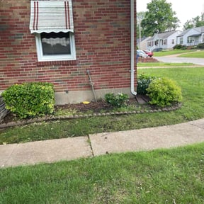Bush Trimming by West Outdoor Services LLC reviewed on August 16, 2025