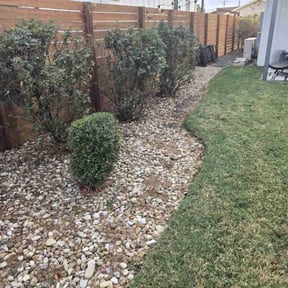 Bush Trimming by The A Team lawn Service reviewed on August 19, 2025