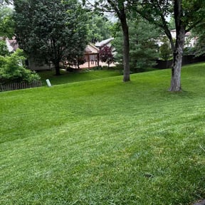 residential landscaping by Cardinal Curb Appeal reviewed on August 18, 2025