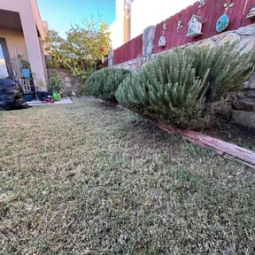 Bush Trimming by Made 4 it all reviewed on December 18, 2025