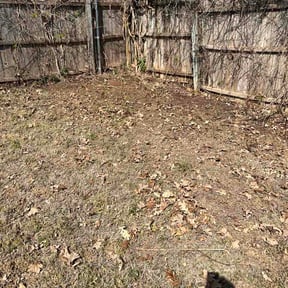 Leaf Removal by Type A Lawn Guy reviewed on March 31, 2026