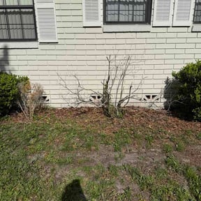 Flower Bed Weeding by MWC Grounds Management reviewed on May 25, 2026
