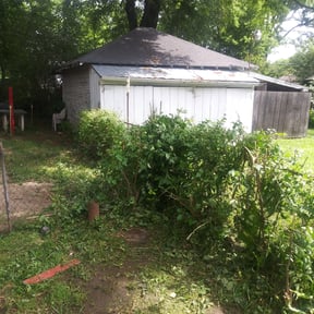 Bush Trimming by Three Kings Grounds Keeping reviewed on August 18, 2025
