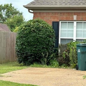 Bush Trimming by Fung Shuí Lawn reviewed on August 15, 2025