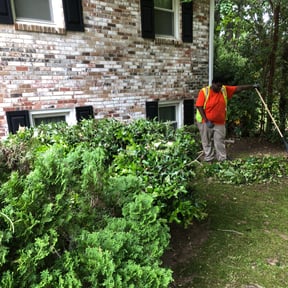 Bush Trimming by Javier's Lawn Care Services reviewed on August 20, 2025