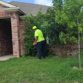 Bush Trimming by Laurean Landscaping reviewed on August 18, 2025