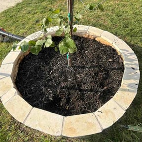 Flower Bed Weeding by Pirulli Outdoor Services reviewed on August 14, 2026