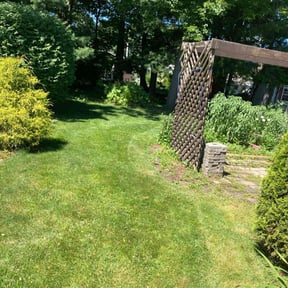 gardening service by C Tetrault Landscaping reviewed on August 21, 2025