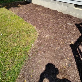 Flower Bed Weeding by David's lawn care reviewed on August 21, 2025