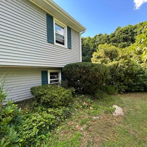Bush Trimming by Superior Contracting reviewed on June 28, 2026