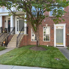yard service by Top Turf L.L.C reviewed on August 18, 2025