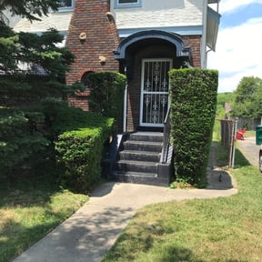 Bush Trimming by Home services reviewed on August 21, 2025