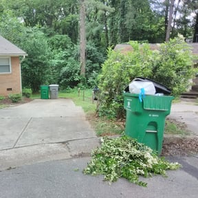 Bush Trimming by Cut and Go reviewed on August 20, 2025