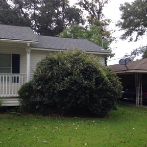 Bush Trimming by A & S lawn care reviewed on August 17, 2025