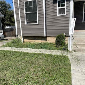 Bush Trimming by Greener Lawn Care LLC reviewed on October 21, 2025