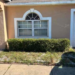 Bush Trimming by Js Lawn Care reviewed on August 15, 2025